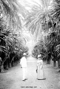 Images d'Algerie 240- Alger- jardin d'essai- 1897